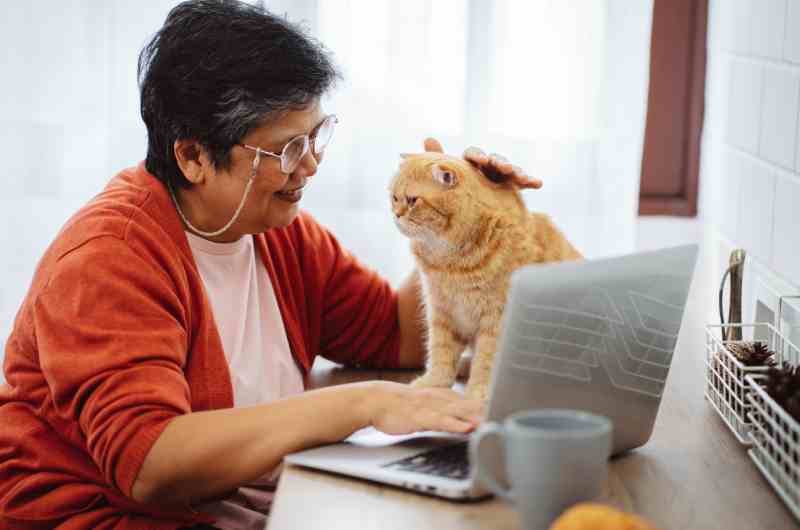 An older woman in glasses sitting at her desk with her computer as she stares lovingly at and pets her orange cat.